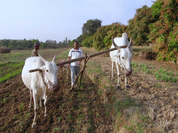 रूरल मैनेजमेंट से जुड़े प्रमुख कोर्स-