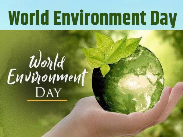 Environmental Science में करियर कैसे बनाएं? जानिए योग्यता, इंस्टिट्यूट, नौकरी और वेतन Environmental Science में करियर कैसे बनाएं? जानिए योग्यता, इंस्टिट्यूट, नौकरी और वेतन