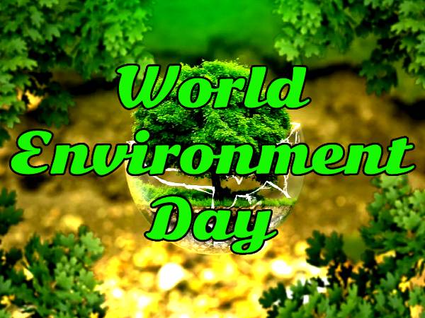 World Environment Day 2021 Theme History: विश्व पर्यावरण दिवस 2021 की थीम, इतिहास, महत्व और कोट्स World Environment Day 2021 Theme History: विश्व पर्यावरण दिवस 2021 की थीम, इतिहास, महत्व और कोट्स