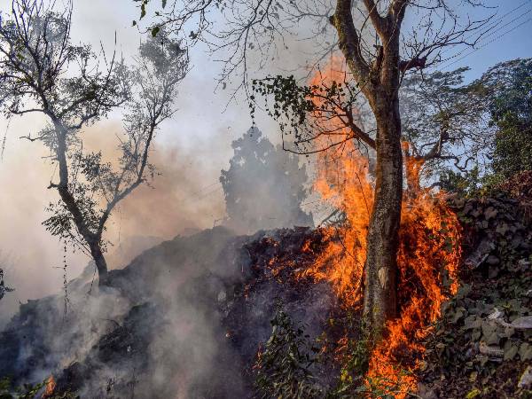 पर्यावरण पर जलावायु परिर्वतन का प्रभाव पर्यावरण पर जलावायु परिर्वतन का प्रभाव