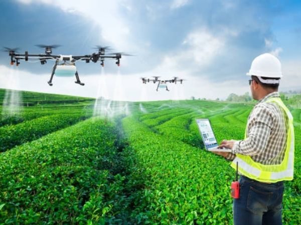 एग्रीकल्चर डिप्लोमा कोर्स: एमडिशन प्रोसेस, एलिजिबिलिटी, फीस और टॉप 10 कॉलेज एग्रीकल्चर डिप्लोमा कोर्स: एमडिशन प्रोसेस, एलिजिबिलिटी, फीस और टॉप 10 कॉलेज