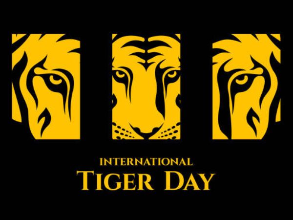 कब और क्यों मनाया जाता है अंतर्राष्ट्रीय बाघ दिवस, जानिए इतिहास कब और क्यों मनाया जाता है अंतर्राष्ट्रीय बाघ दिवस, जानिए इतिहास