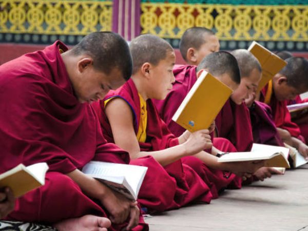 पोस्ट ग्रेजुएट डिप्लोमा इन बुद्धिस्ट स्टडीज: हायर स्टडीज