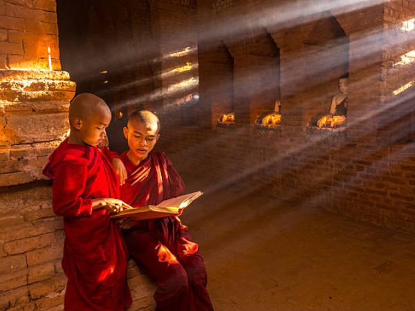पोस्ट ग्रेजुएट डिप्लोमा इन बुद्धिस्ट स्टडीज: जॉब फील्ड