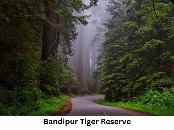 7. भारत का पहला टाइगर रिजर्व कौन सा था?