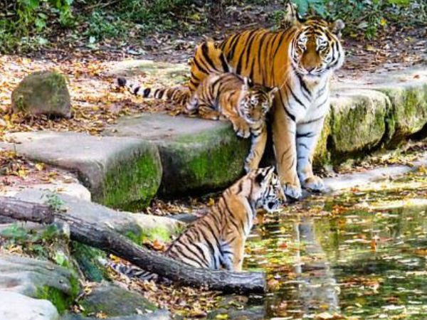 10. भारत में ऑरेंज सिटी कौन सी है?