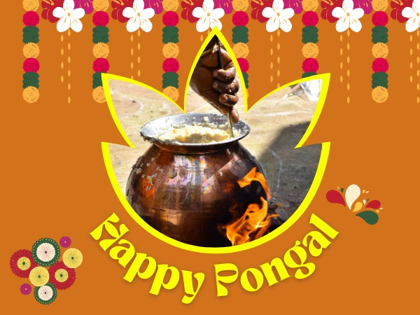पोंगल कब मनाया जाता है, जानिए इतिहास और महत्व पोंगल कब मनाया जाता है, जानिए इतिहास और महत्व
