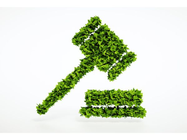 Career in LLM Environmental Law 2023: एलएलएम एनवायरमेंटल लॉ में कैसे बनाएं करियर Career in LLM Environmental Law 2023: एलएलएम एनवायरमेंटल लॉ में कैसे बनाएं करियर