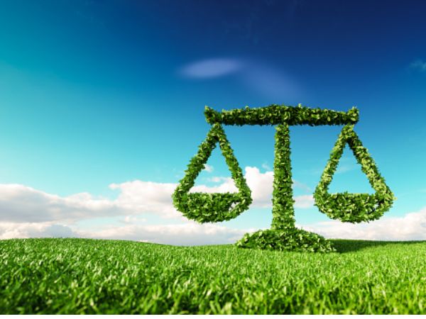 Career in LLM Environmental Law 2023: एलएलएम एनवायरमेंटल लॉ में कैसे बनाएं करियर Career in LLM Environmental Law 2023: एलएलएम एनवायरमेंटल लॉ में कैसे बनाएं करियर