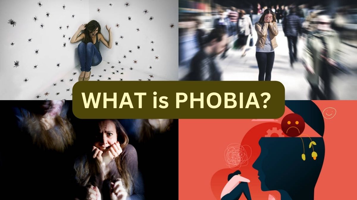 डर लगता है लेकिन किस चीज से... आज जान लीजिए क्या है Phobia, यहां मिलेगा